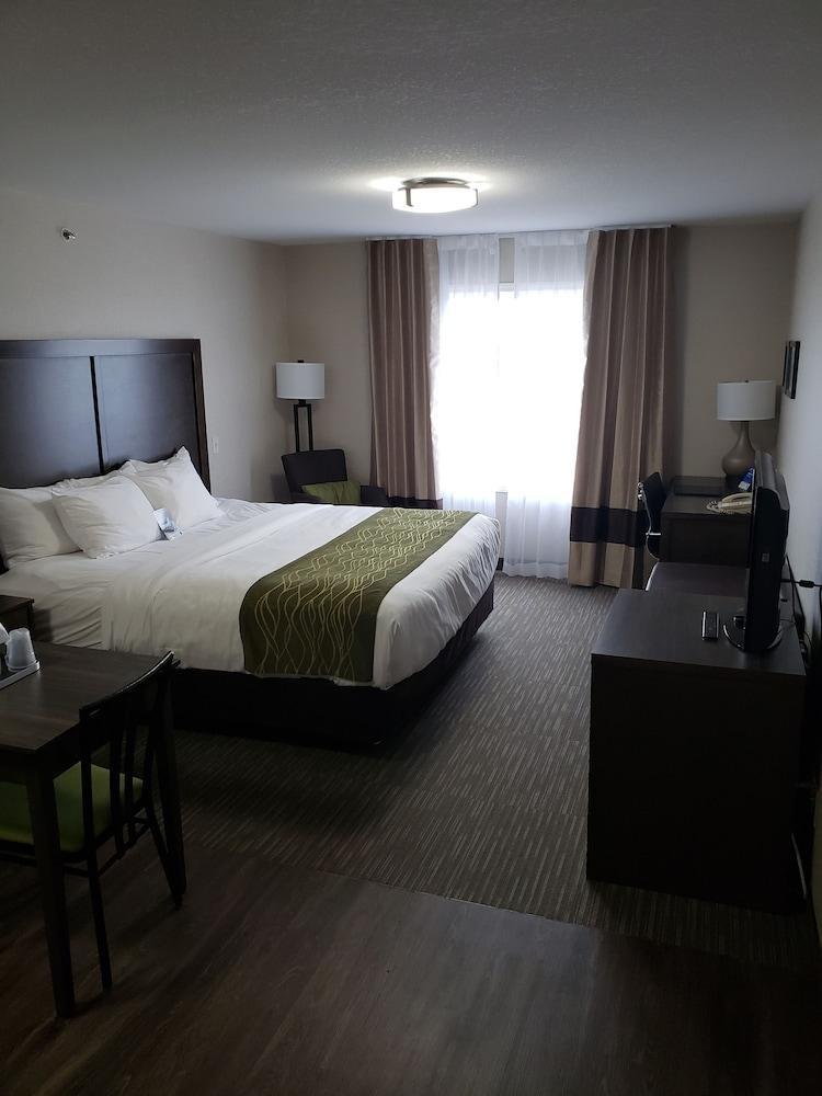 Comfort Inn & Suites Ред Диър Екстериор снимка