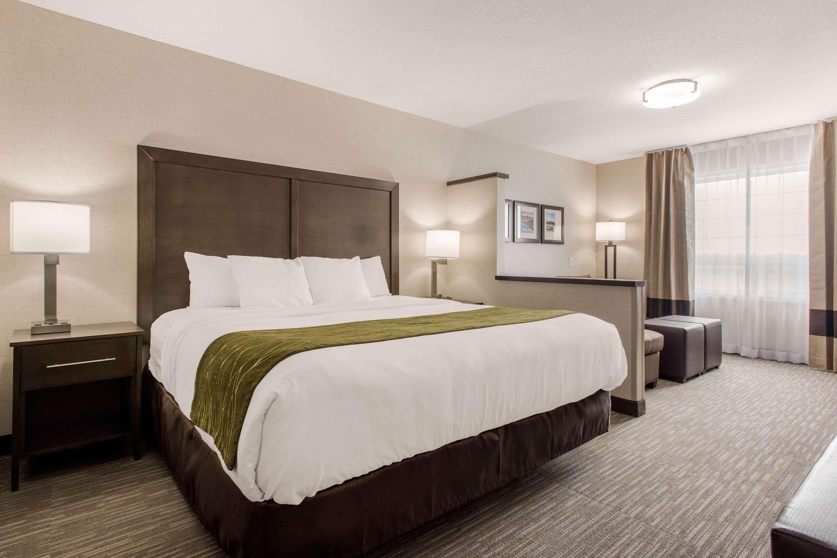 Comfort Inn & Suites Ред Диър Екстериор снимка